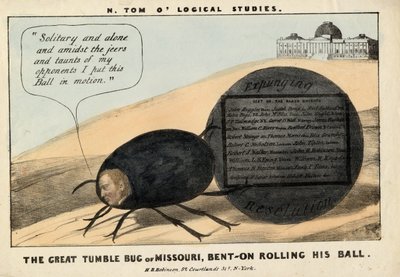 Il grande scarabeo di Missouri: Benton che rotola la sua palla da American School