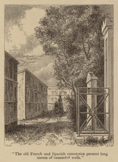 I vecchi cimiteri francesi e spagnoli presentano lunghe strade di muri cementati (incisione) da American School