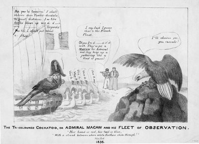 Il cacatua tricolore, o, Ammiraglio Macaw e la sua flotta di osservazione da American School