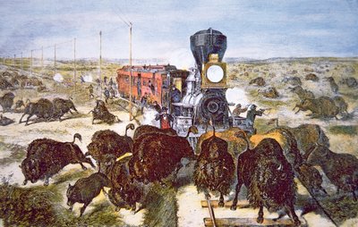 Passeggeri del treno sulla Kansas Pacific Railroad, che sparano ai bufali per sport negli anni 1870 da American School