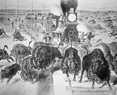 Passeggeri del treno sulla Kansas Pacific Railroad, che sparano ai bufali per sport negli anni 1870 da American School