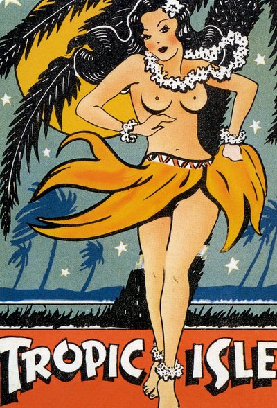 Poster Tropic Isle da American School