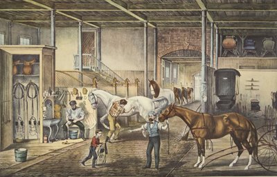Trotting Cracks a casa, una stalla modello da American School