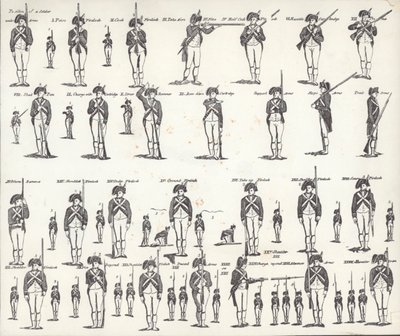 Manuale delle armi degli Stati Uniti da American School
