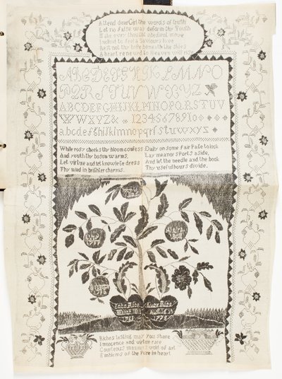 Immagine sconosciuta da American School