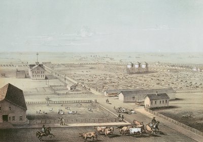 Union Stockyards, Chicago da American School