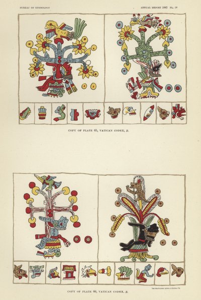 Codice Vaticano da American School
