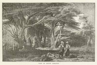 Veduta del Monte Libano da American School