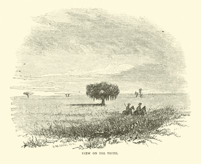 Veduta sul Teche, aprile 1863 da American School