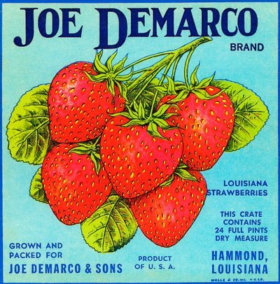 Etichetta vintage per cassette di frutta con fragole da American School