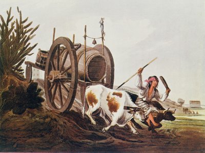 Carro dell