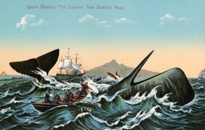 Baleniere che arpionano un capodoglio al largo di New Bedford, Massachusetts da American School