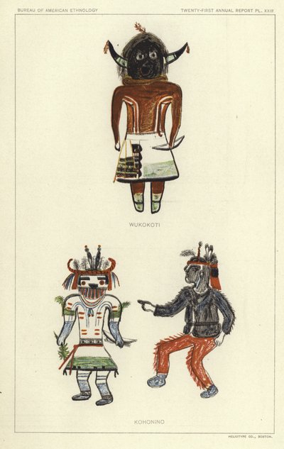 Wukokoti, Kohonino (litografia a colori) da American School