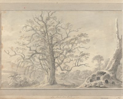 Vedute in Inghilterra, Scozia e Galles: Nel Parco di Londesbro