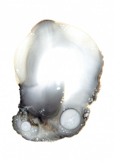 Esempio XI da Amy Louise Baker