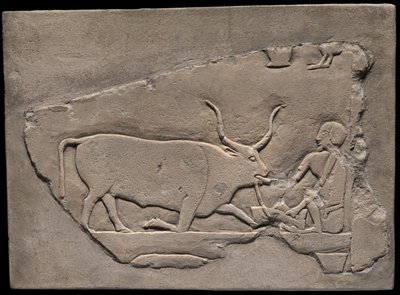 Frammento di muro di una tomba raffigurante un mandriano da Ancient Egyptian