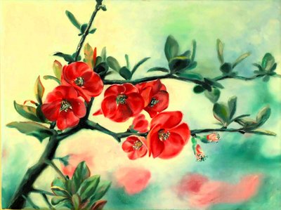 Fiori rossi di primavera da Anda Bieza