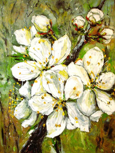 Fiori bianchi primaverili da Anda Bieza