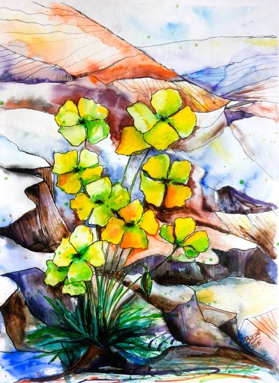 Fiori di montagna dai colori vivaci da Anda Bieza