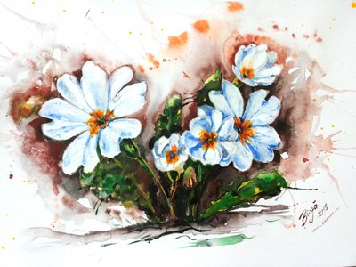 Fiori vivaci ad acquerello da Anda Bieza