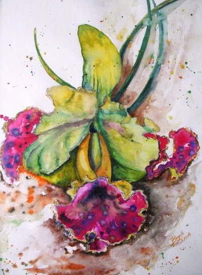 Orchidea dai vivaci colori ad acquerello da Anda Bieza