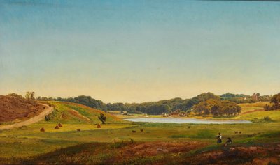 Paesaggio danese del raccolto da Anders Christian Lunde