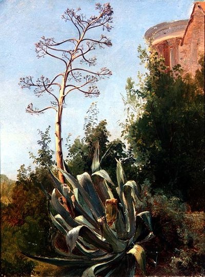 Paesaggio; Italia meridionale da Anders Christian Lunde