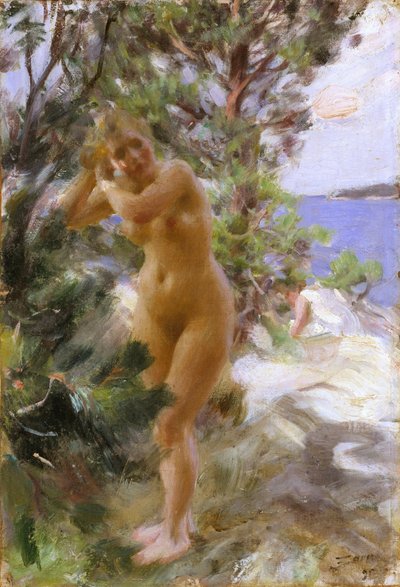 Dopo il bagno da Anders Leonard Zorn