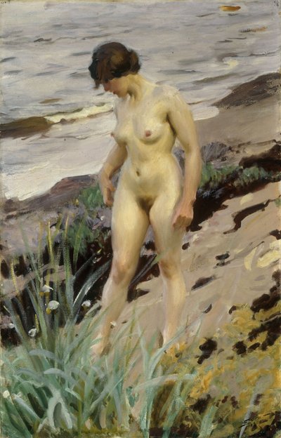 Studio di Sandhamn, 1914 da Anders Leonard Zorn