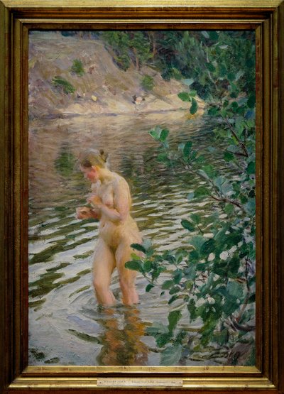 Il torrente freddo da Anders Leonard Zorn