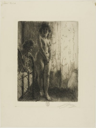 Un angolo buio da Anders Leonard Zorn