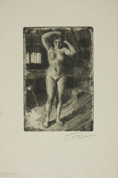Anna che si pettina da Anders Leonard Zorn