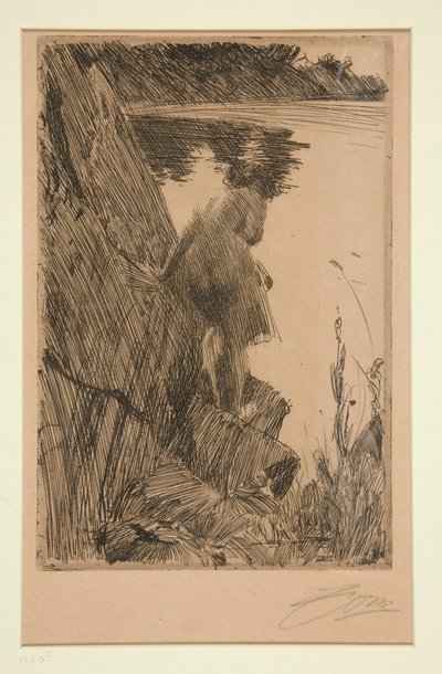 Bagnante (Sera) III da Anders Leonard Zorn