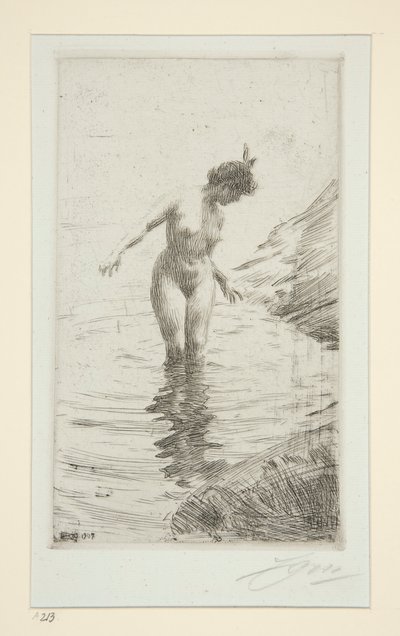 Cerchi d da Anders Leonard Zorn