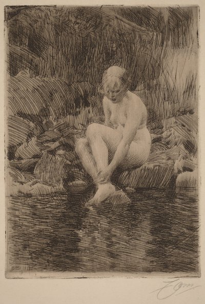  da Anders Zorn