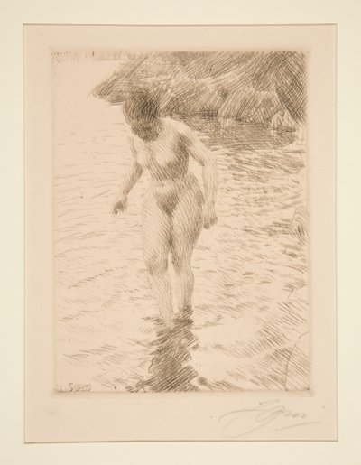 Dalaro da Anders Leonard Zorn
