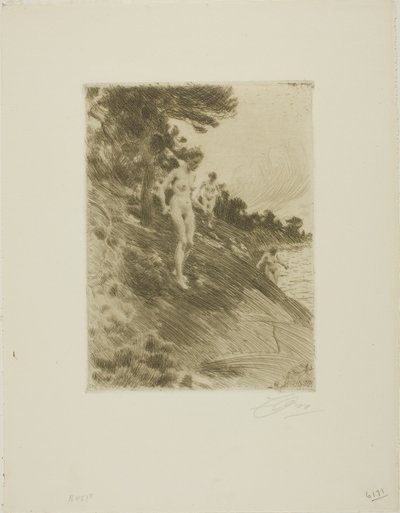 Spaventato da Anders Leonard Zorn