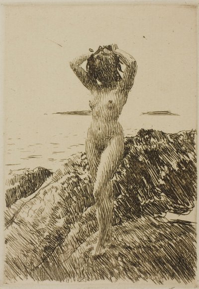 Hårtång (Ghirlanda di alghe) da Anders Zorn