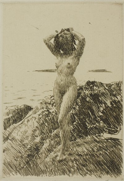 Hårtång (Ghirlanda di alghe) da Anders Leonard Zorn