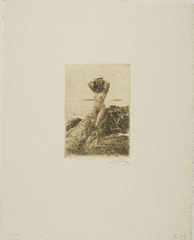 Corona di alghe marine da Anders Leonard Zorn