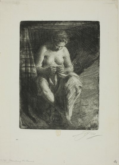 Rammendo da Anders Leonard Zorn