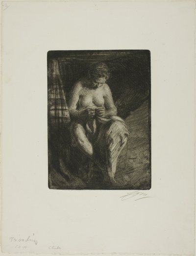 Rammendo da Anders Leonard Zorn
