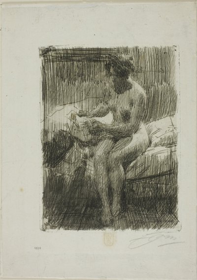 Modello che legge da Anders Leonard Zorn