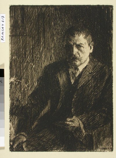 Selfie da Anders Zorn