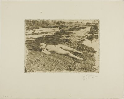 Sulla sabbia da Anders Leonard Zorn