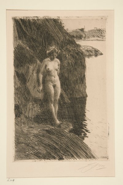 Precipizio da Anders Leonard Zorn