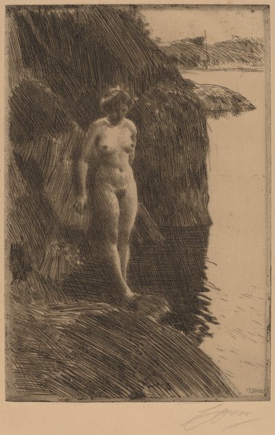 Precipizio da Anders Leonard Zorn