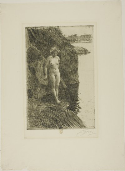 Precipizio da Anders Leonard Zorn