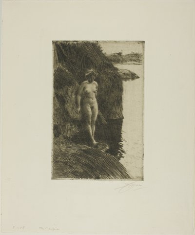 Precipizio da Anders Leonard Zorn