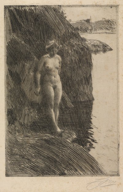 Precipizio da Anders Zorn